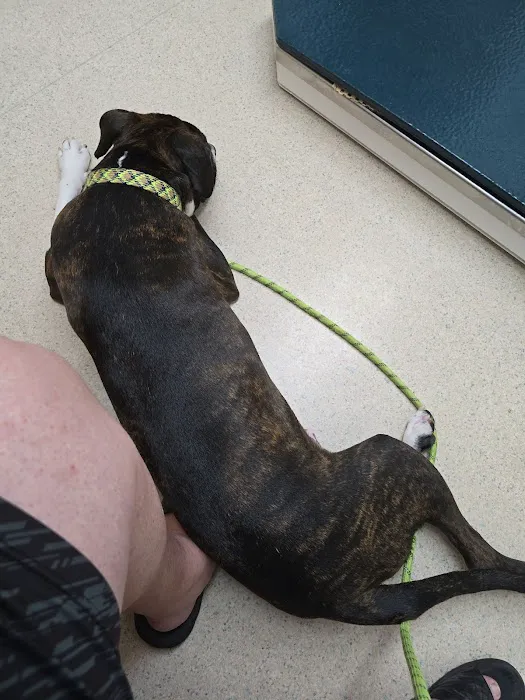 Frederick Veterinary Center Picture 3