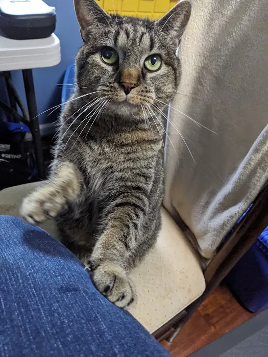 Frederick Veterinary Center Picture 4