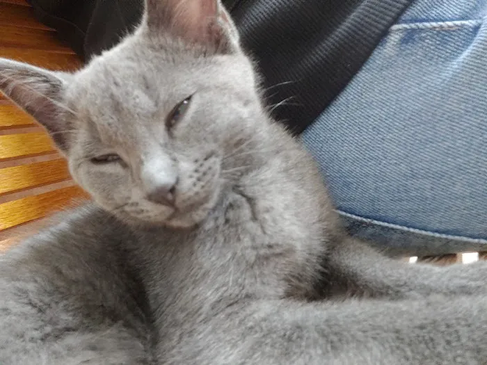 Frederick Veterinary Center Picture 6
