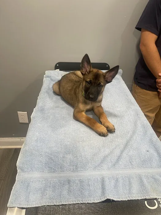Frederick Veterinary Center Picture 8