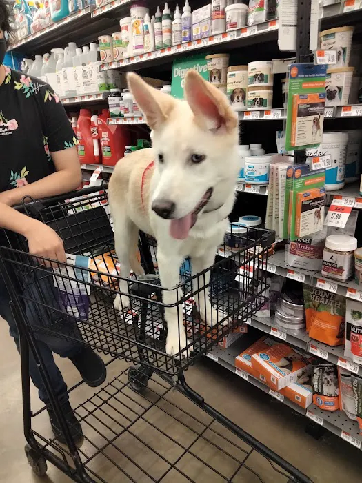 Pet Supplies Plus Richardson Picture 3