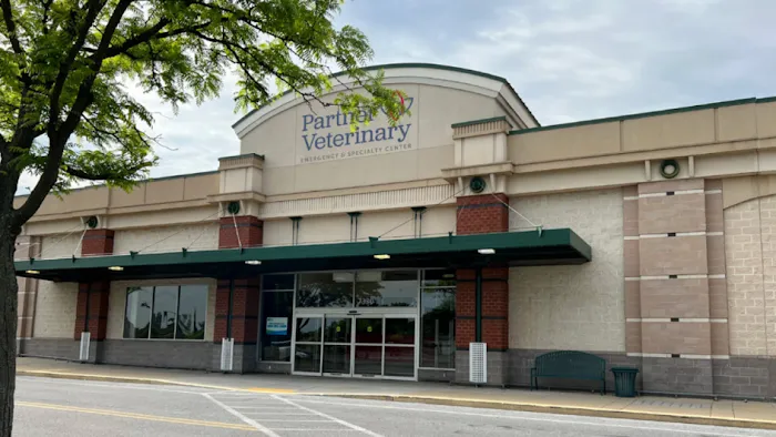 CVCA Cardiac Care For Pets Picture 2