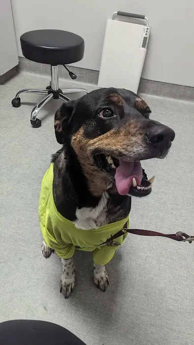 Partner Veterinary Emergency & Specialty Center - Frederick Picture 4