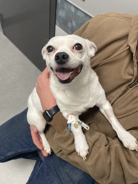 Partner Veterinary Emergency & Specialty Center - Frederick Picture 6