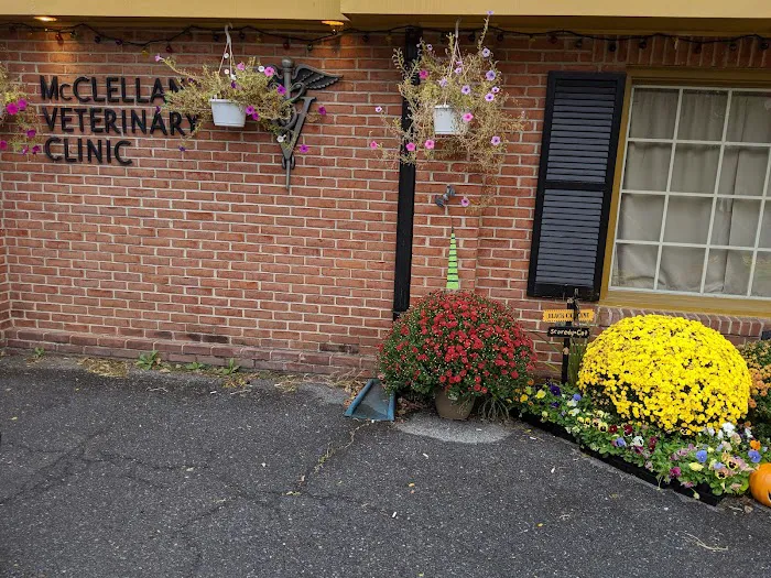McClellan Veterinary Clinic Picture 6