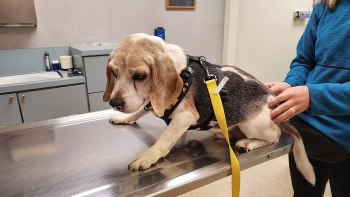 McClellan Veterinary Clinic Picture 7