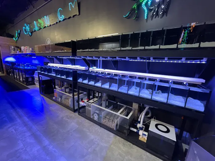 Aqua-Vault Picture 4