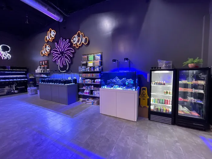 Aqua-Vault Picture 5