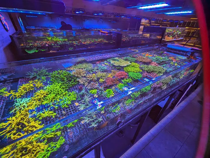 Aqua-Vault Picture 6