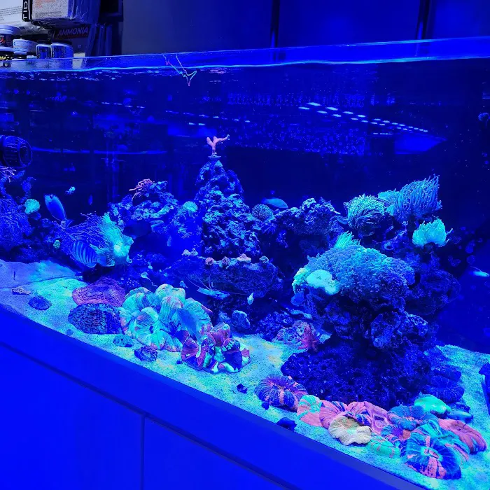 Aqua-Vault Picture 9
