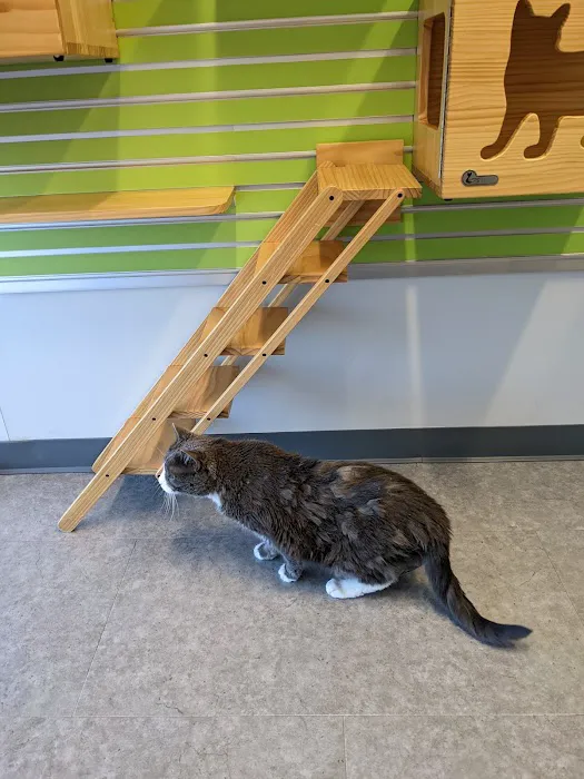 Kingsbrook Animal Hospital Picture 1