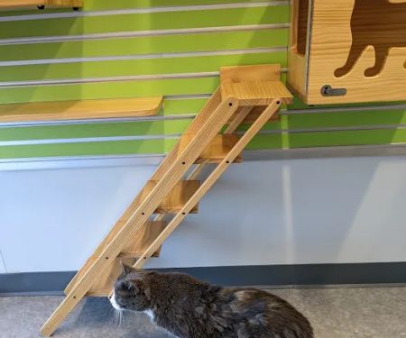 Kingsbrook Animal Hospital