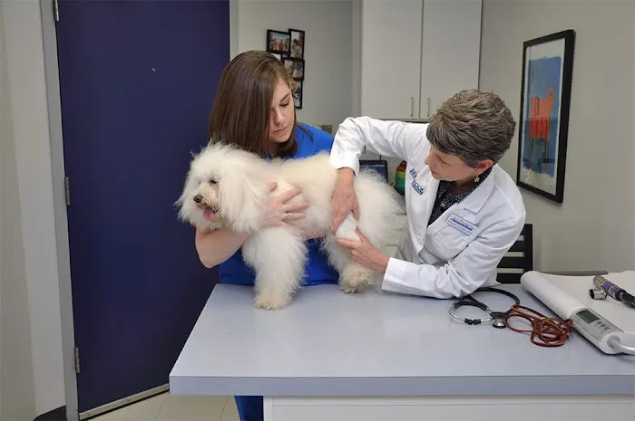 Kingsbrook Animal Hospital Picture 5