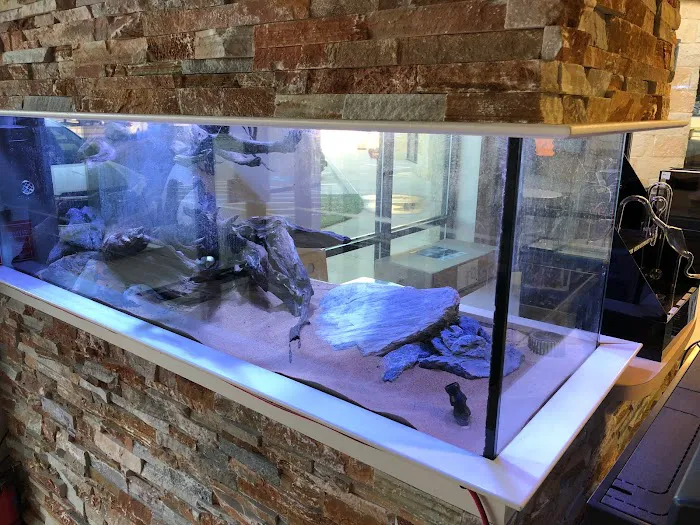 Rift 2 Reef Aquatics Picture 2