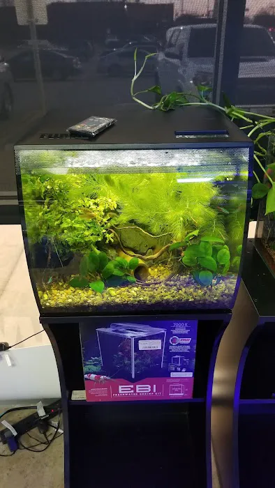 Rift 2 Reef Aquatics Picture 4