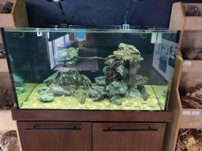 Rift 2 Reef Aquatics Picture 6