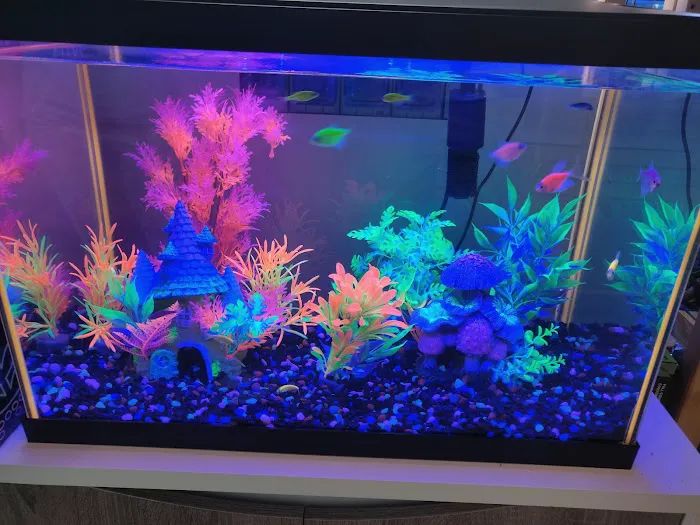 Rift 2 Reef Aquatics Picture 9