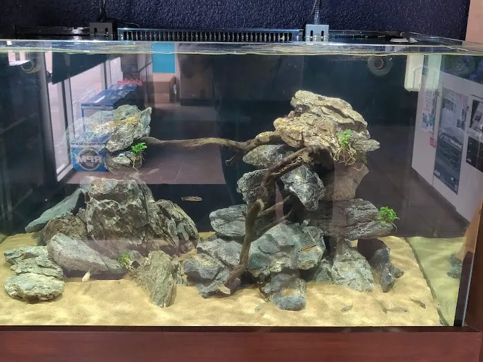 Rift 2 Reef Aquatics Picture 8