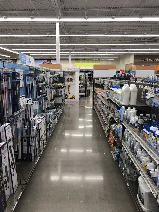 Petco Picture 2