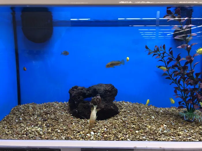 Petco Picture 3