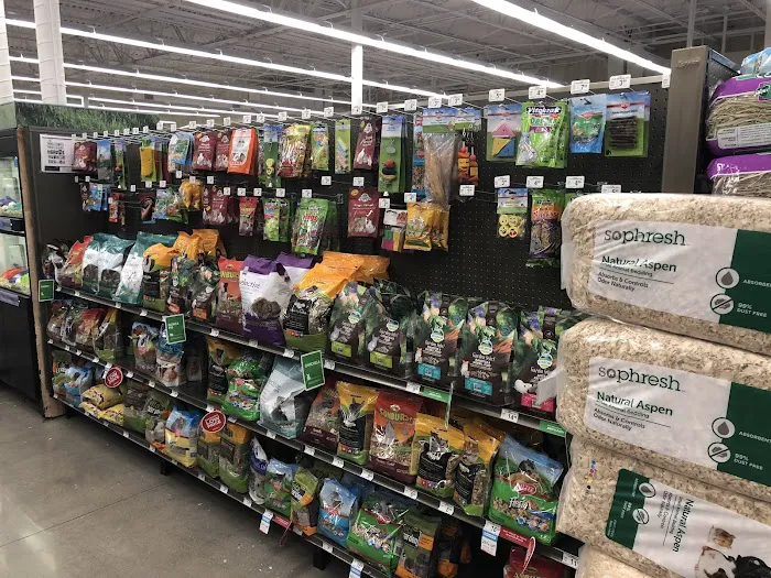 Petco Picture 5
