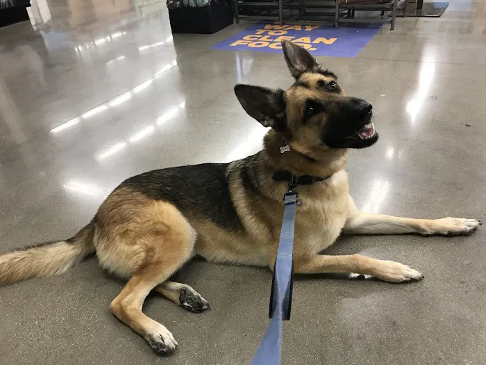 Petco Picture 8