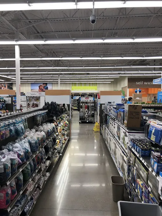 Petco Picture 7