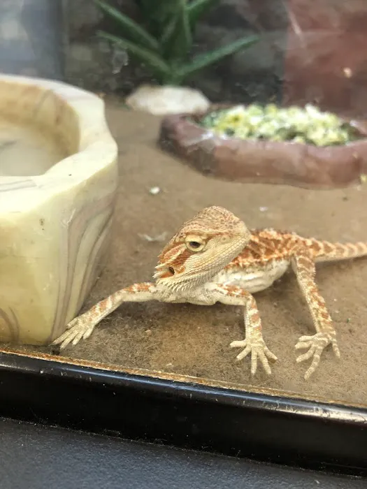 Petco Picture 10