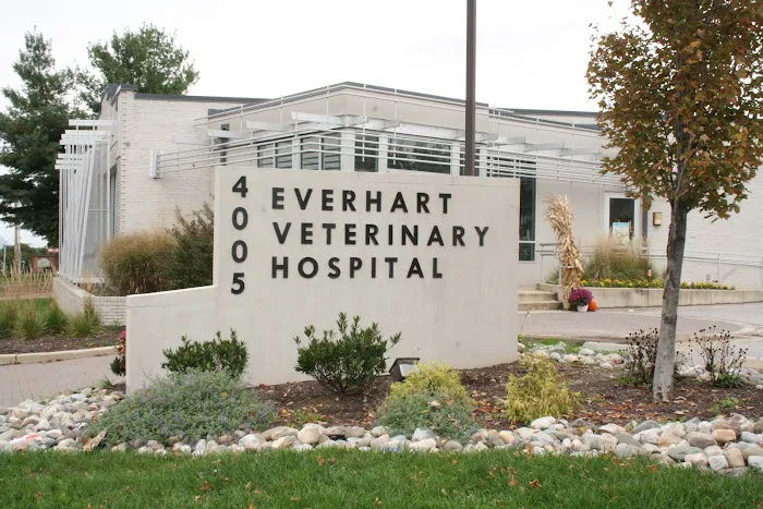 Everhart Veterinary Hospital: Goodman Robert Z DVM Picture 3