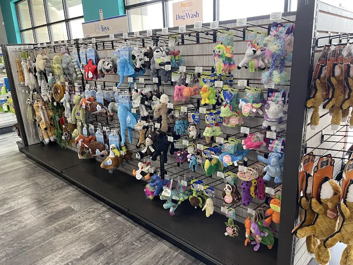 Pet Supermarket Picture 2