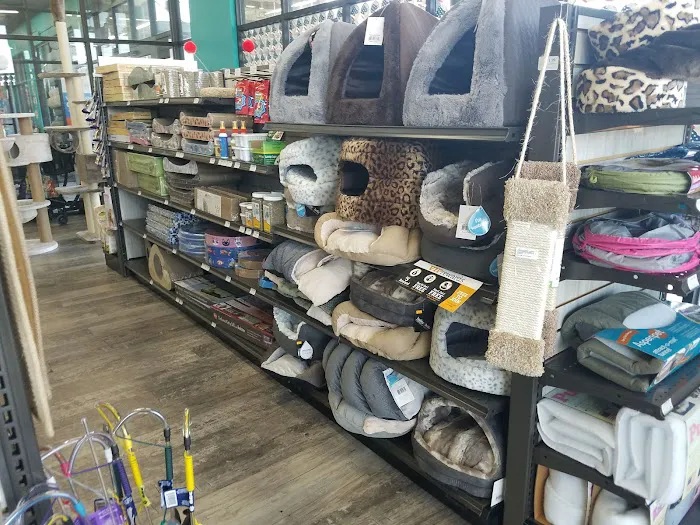 Pet Supermarket Picture 5