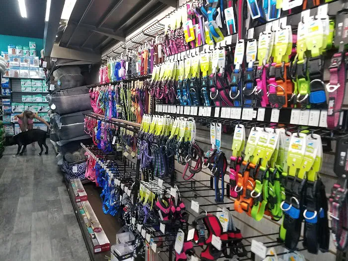 Pet Supermarket Picture 6