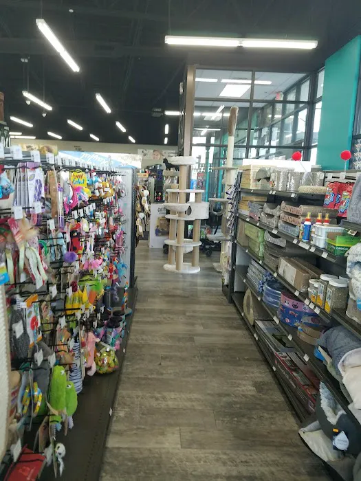 Pet Supermarket Picture 9