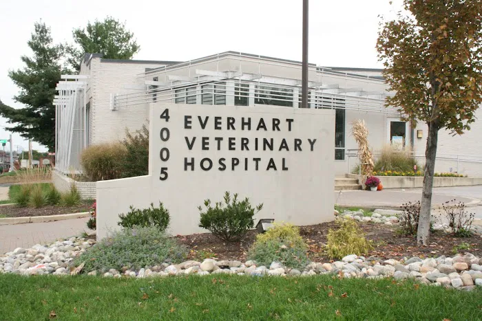 Everhart Veterinary Medicine Picture 1