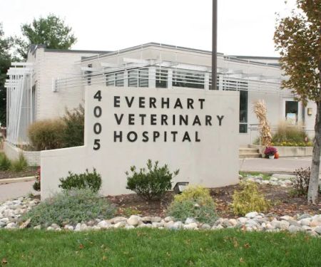 Everhart Veterinary Medicine