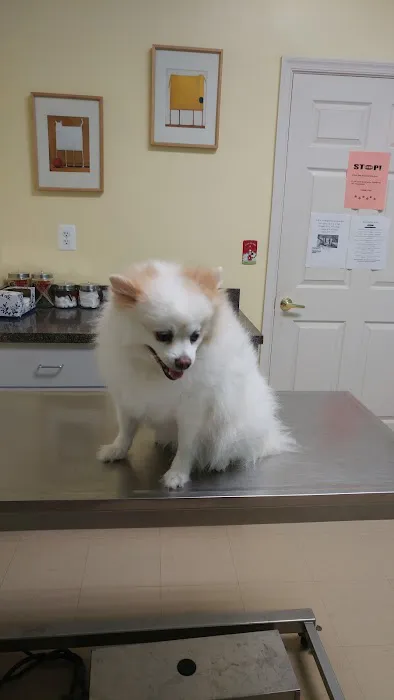 Animal Clinic of Southgate Picture 3
