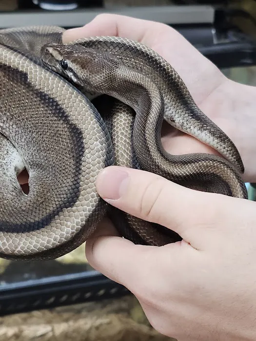 The Serpentarium Picture 4