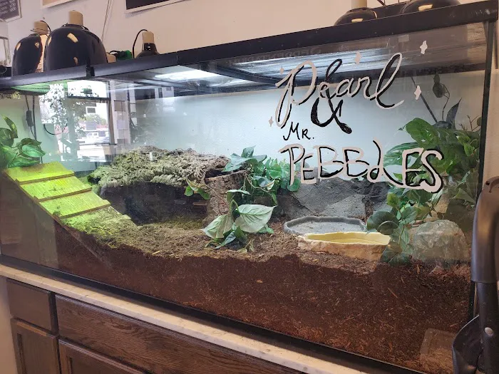 The Serpentarium Picture 5