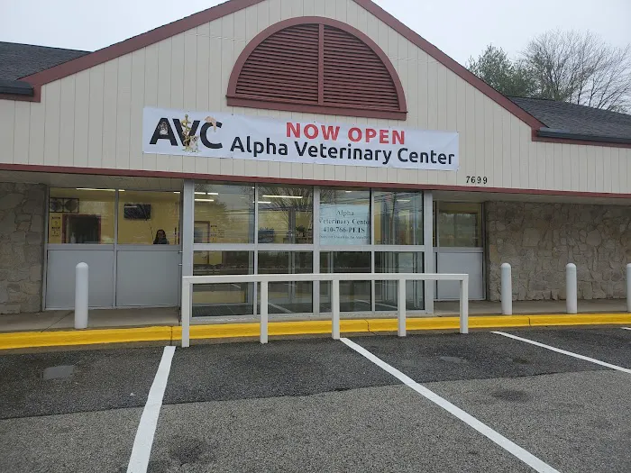 Alpha Veterinary Center Picture 2