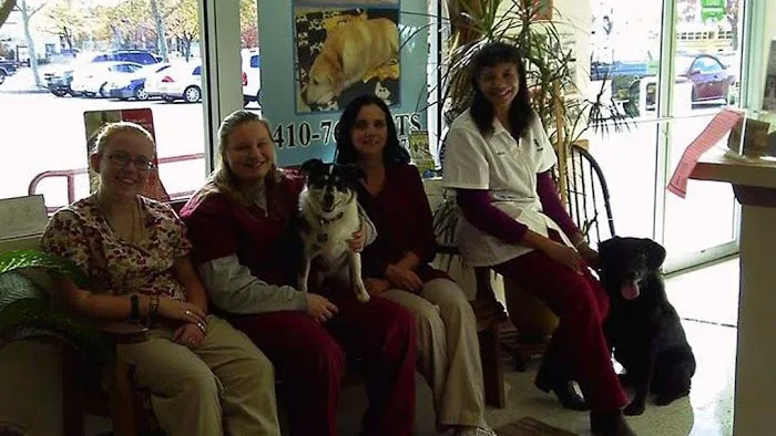 Alpha Veterinary Center Picture 1