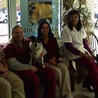 Alpha Veterinary Center ico