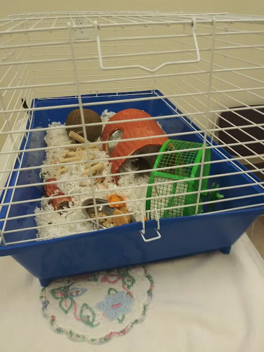 Alpha Veterinary Center Picture 6