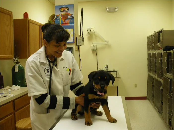 Alpha Veterinary Center Picture 9