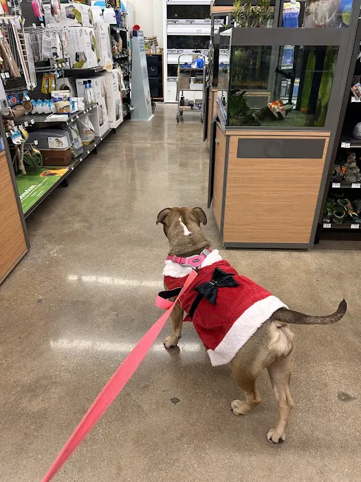 Petco Picture 7