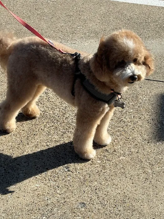 Petco Picture 8