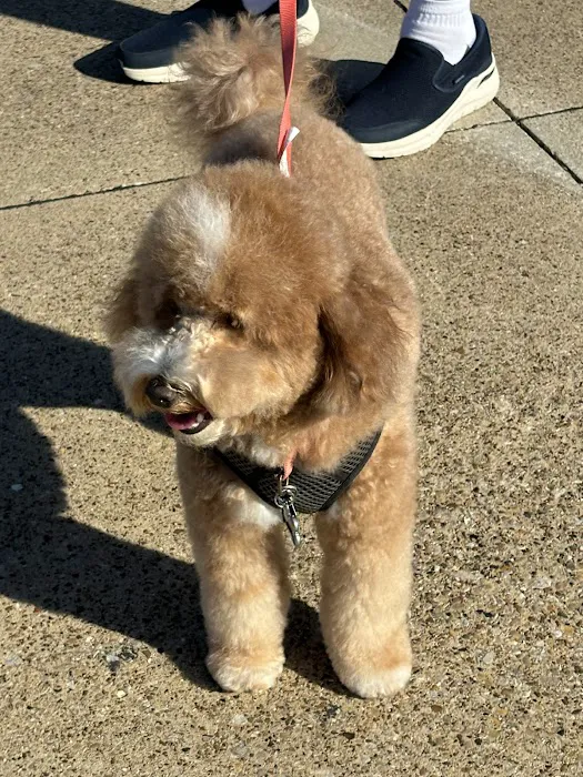 Petco Picture 6
