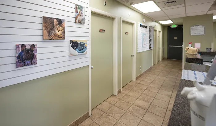 Glen Burnie Animal Hospital Picture 3