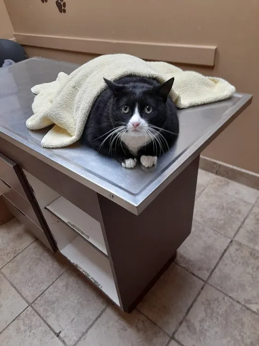 Glen Burnie Animal Hospital Picture 5