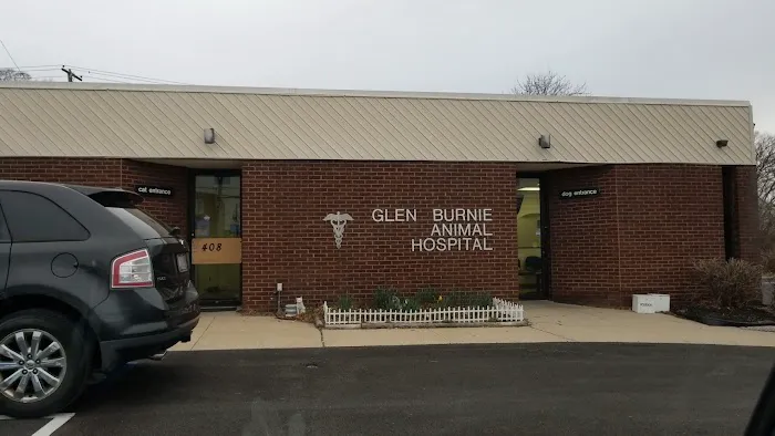 Glen Burnie Animal Hospital Picture 9