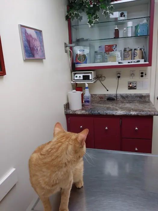 Glen Burnie Animal Hospital Picture 10